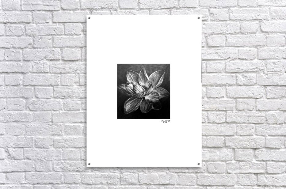 Blume