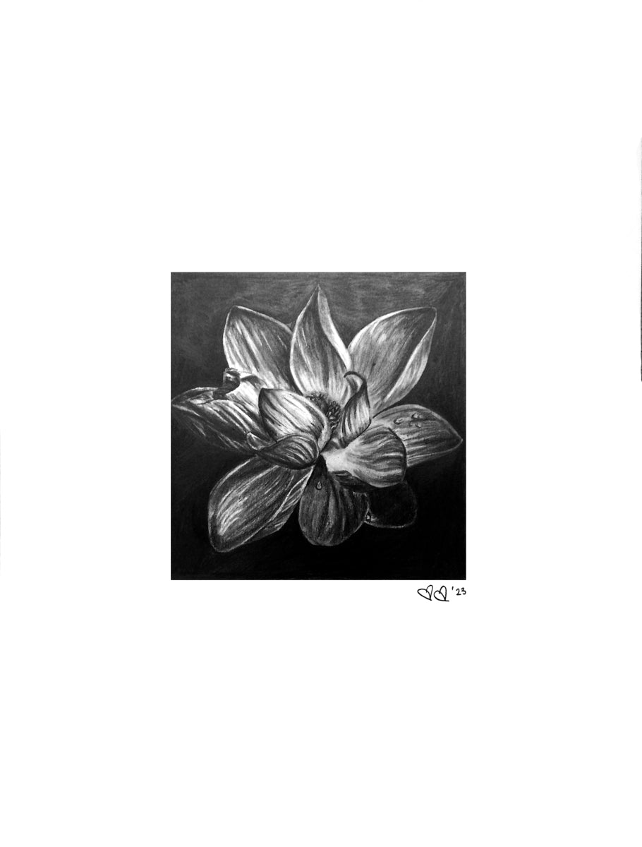 Blume