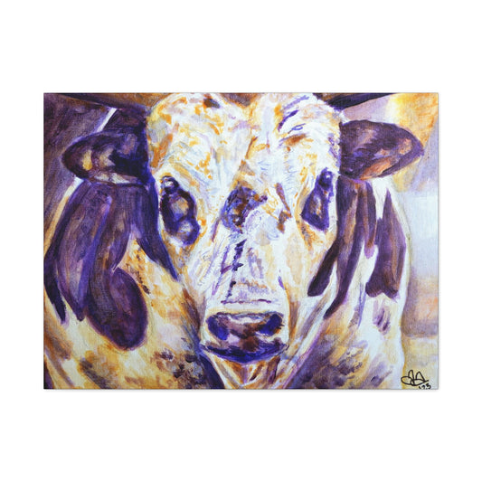 Gazing Cow Canvas