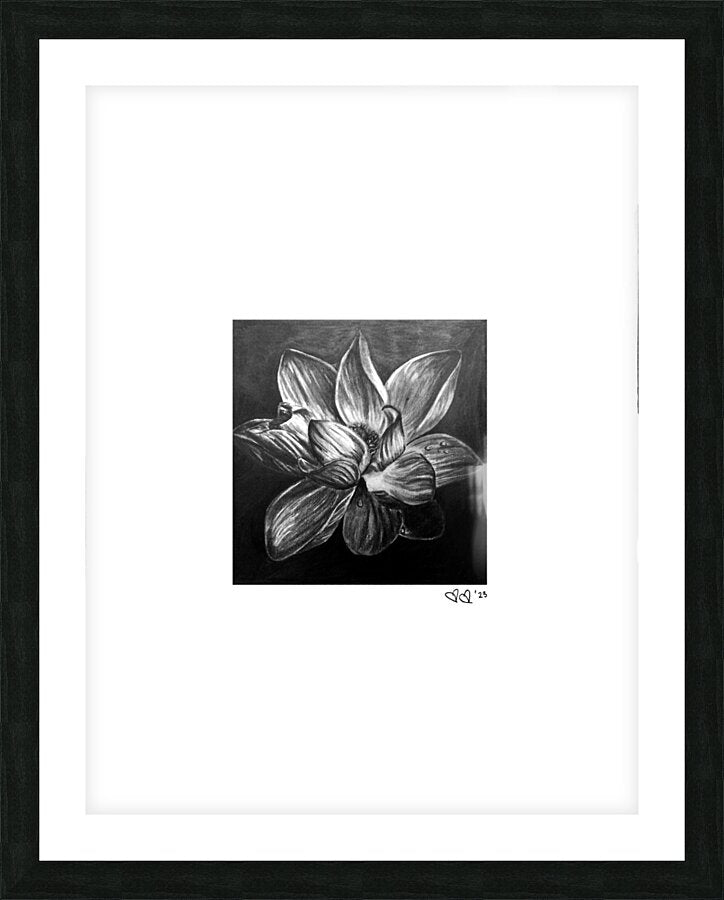 Blume