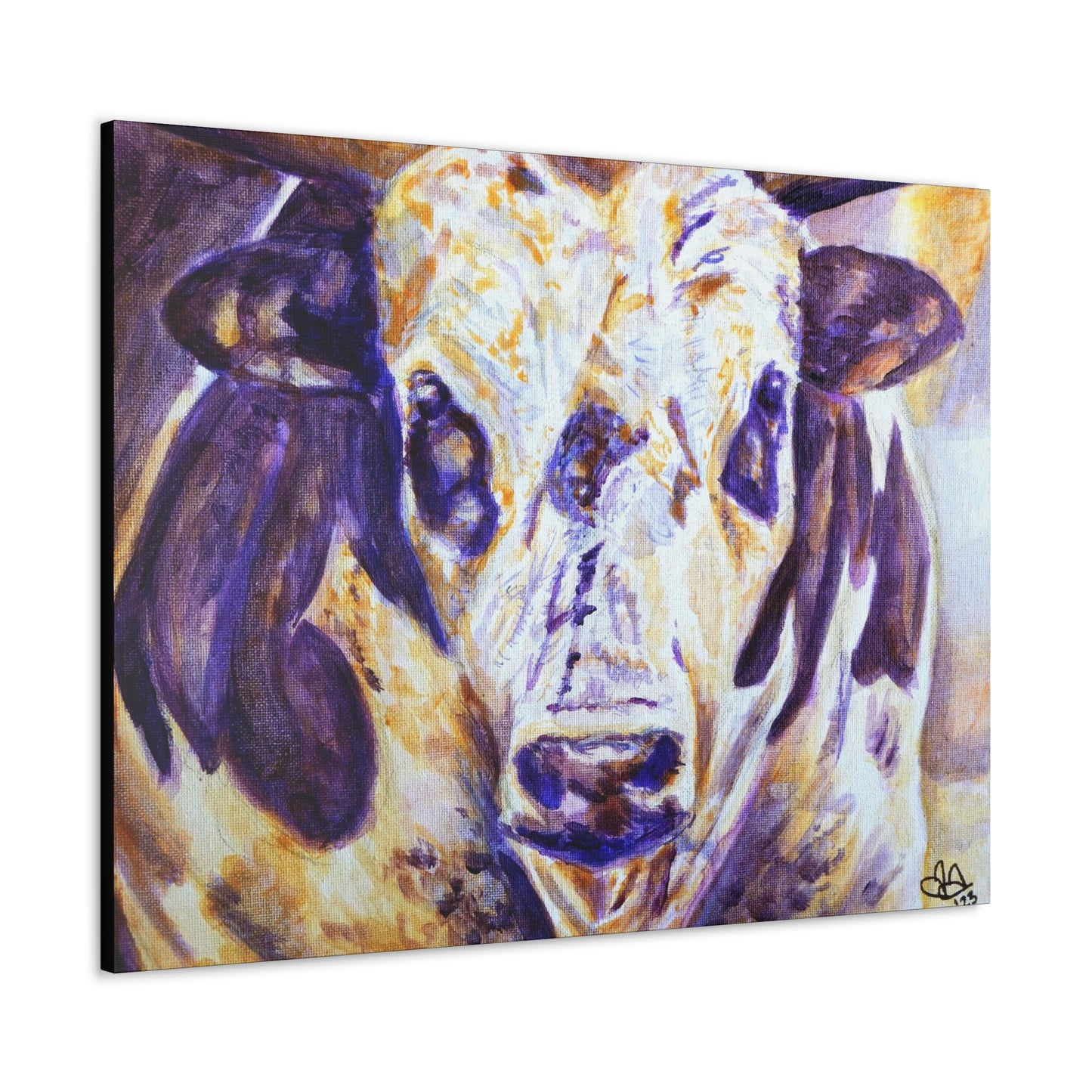 Gazing Cow Canvas