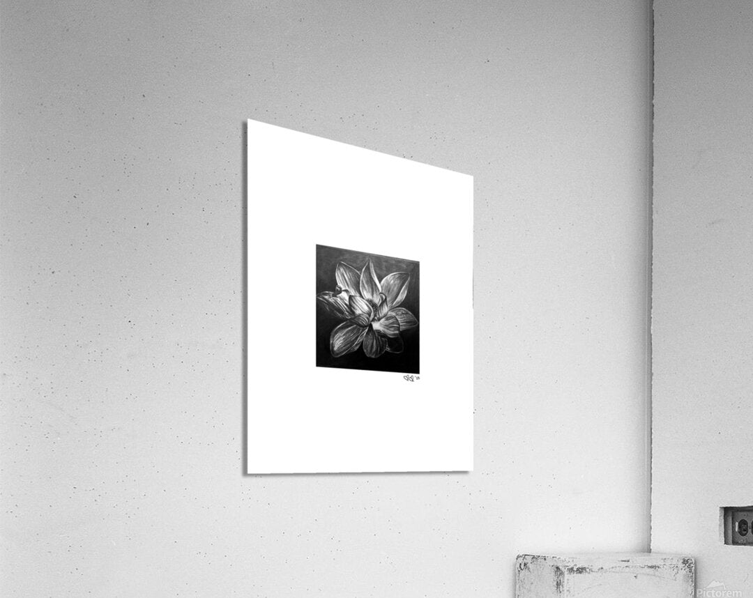 Blume