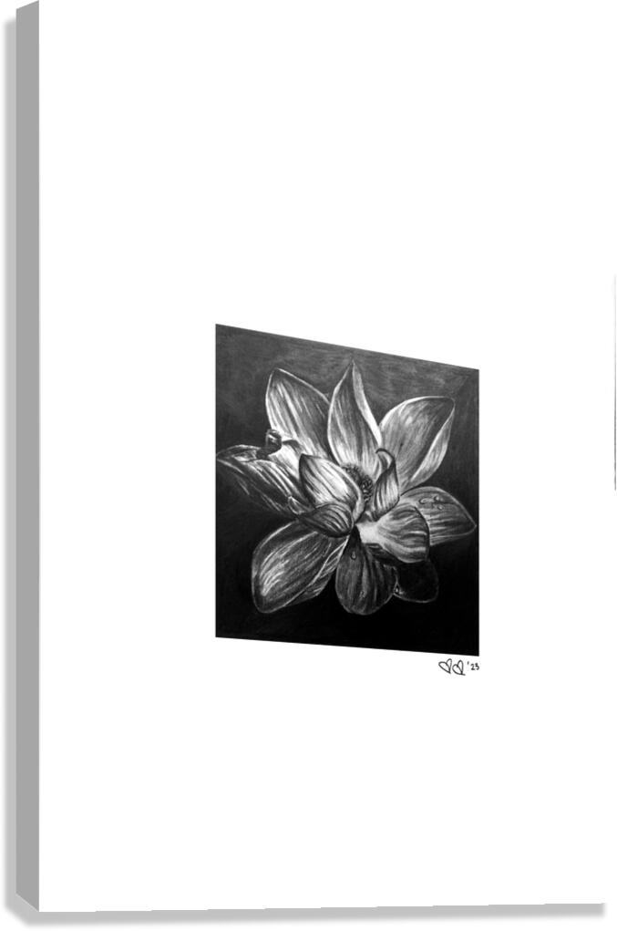 Blume