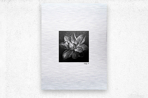 Blume