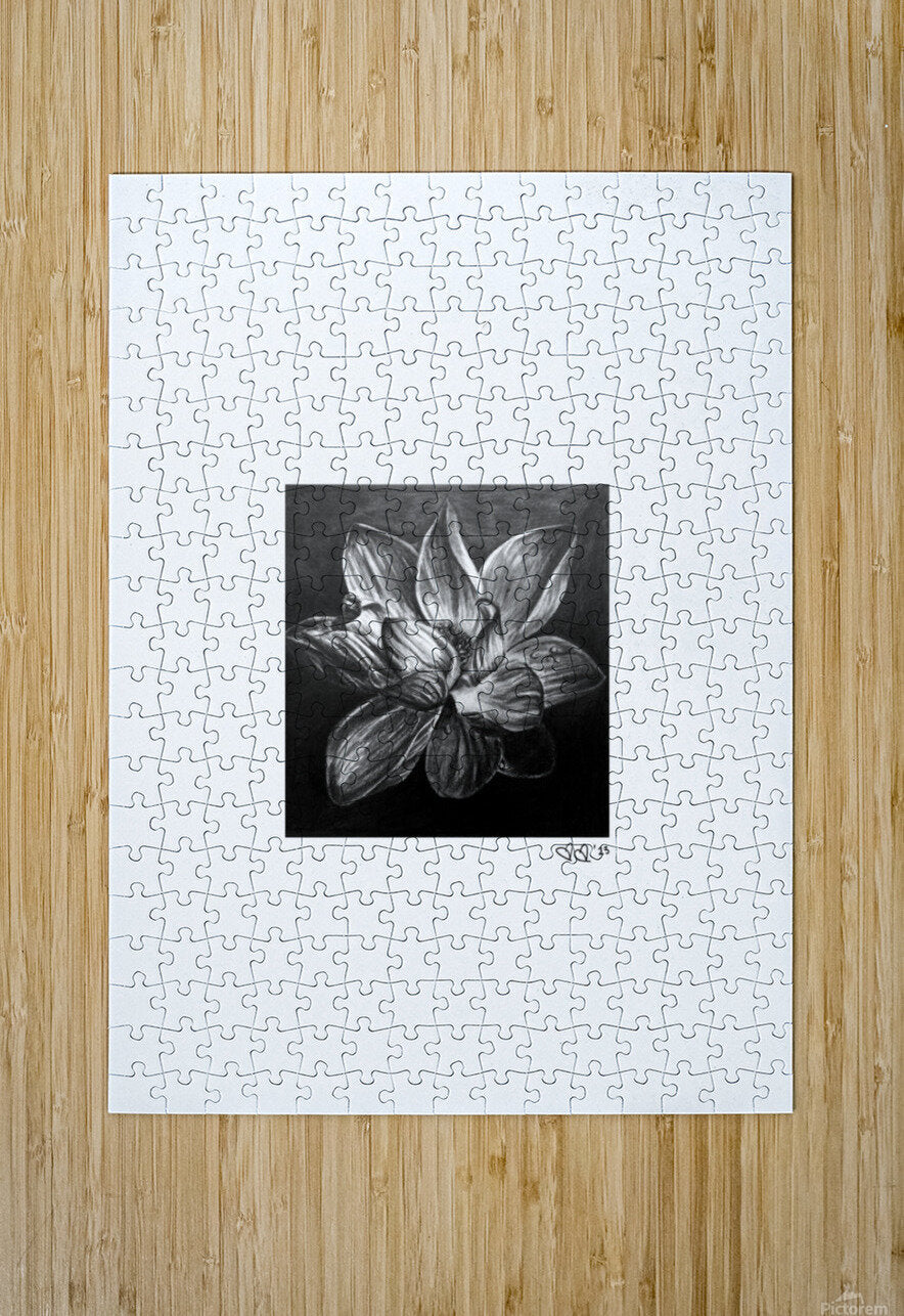 Blume